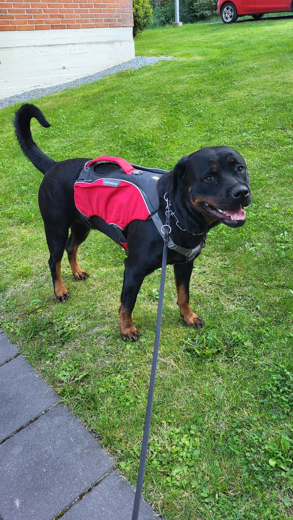 Ruffwear reppu