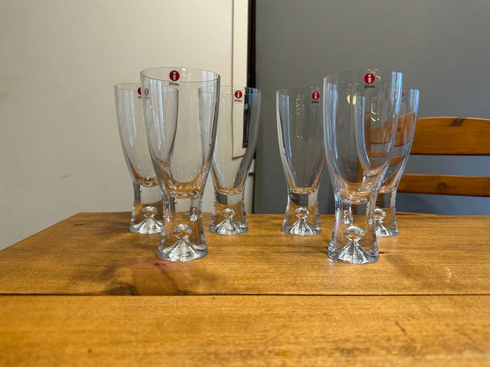 Iittala Tapio olutlasit 6 kpl