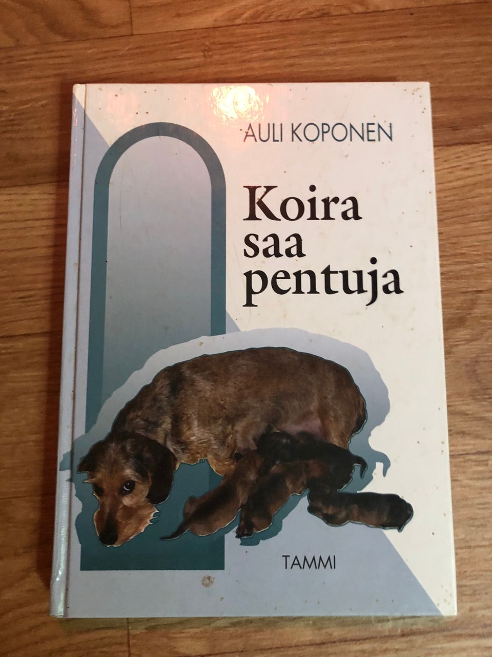 Ilmoituksen kuva