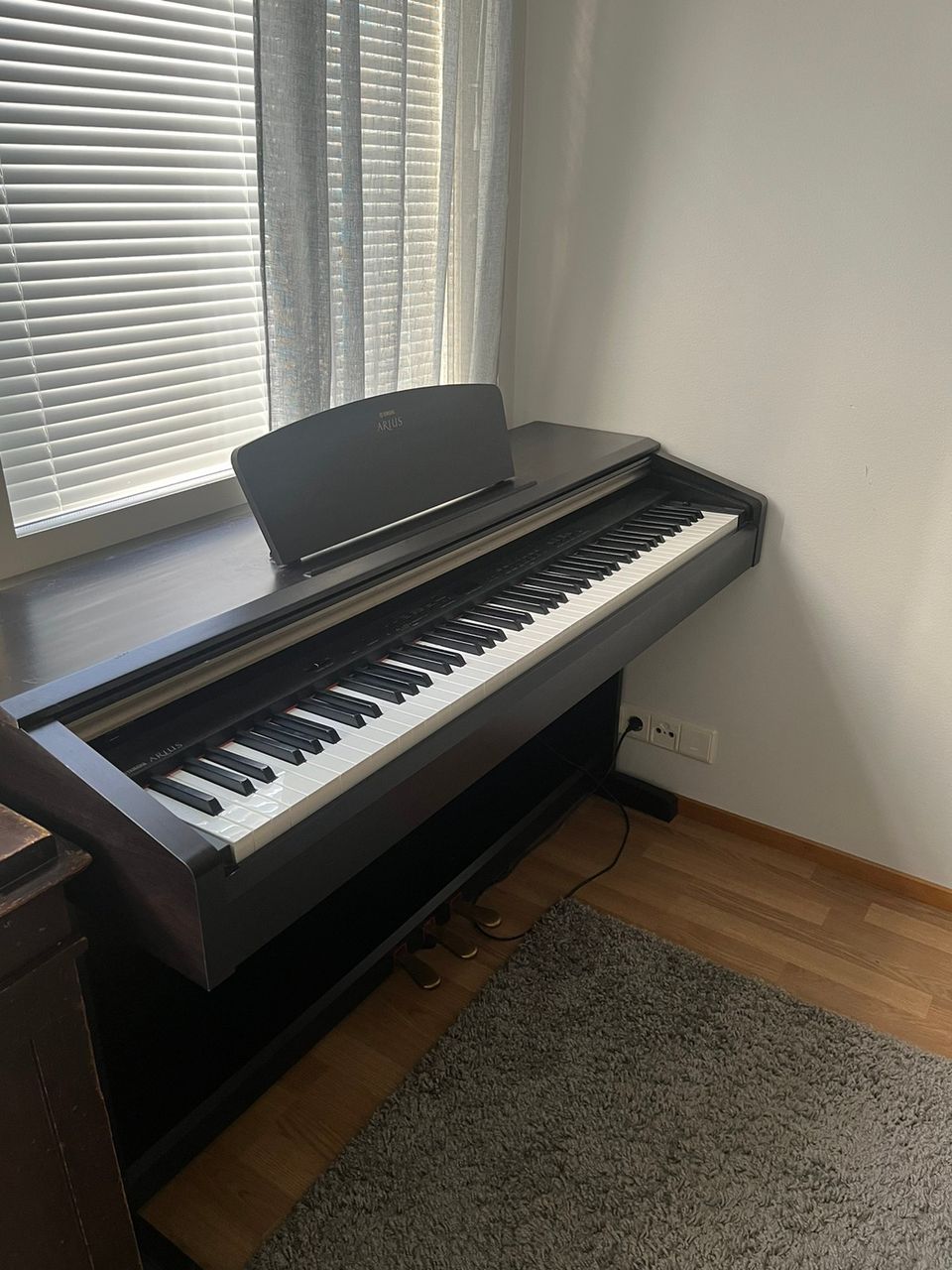 YAMAHA Arius (YDP-181)