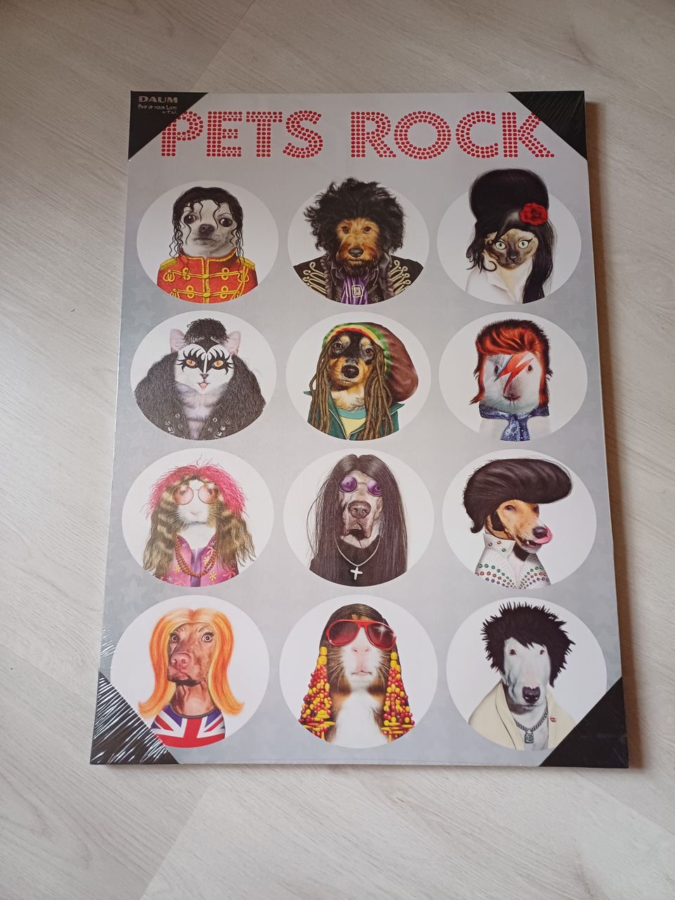 Pets Rock Canvastaulu 50x70