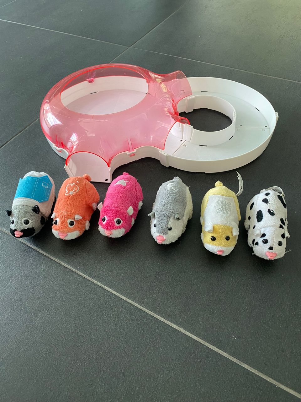 Zhu zhu pets ja rata