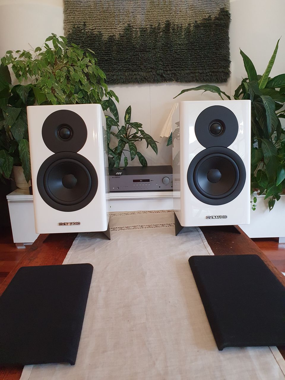 Dynaudio Evoke 10 pari