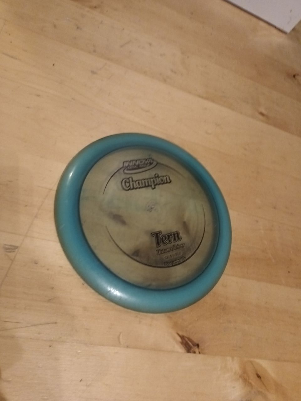 Innova Champion Tern