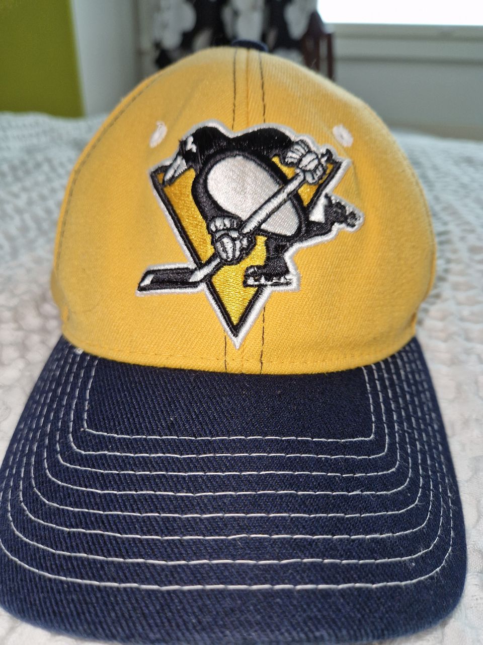 Pittsburgh Penguins lippis