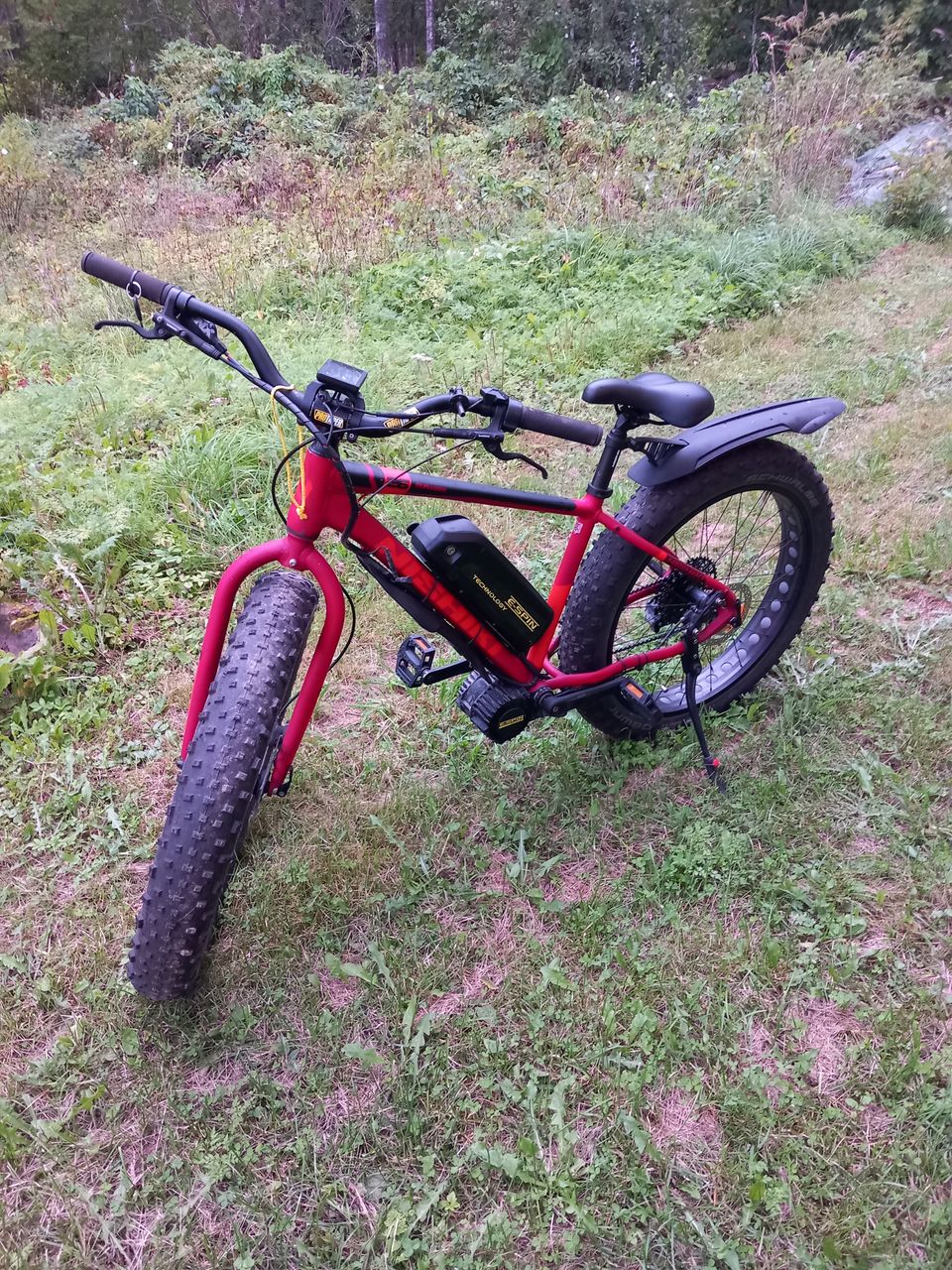 Nishiki Durango fatbike