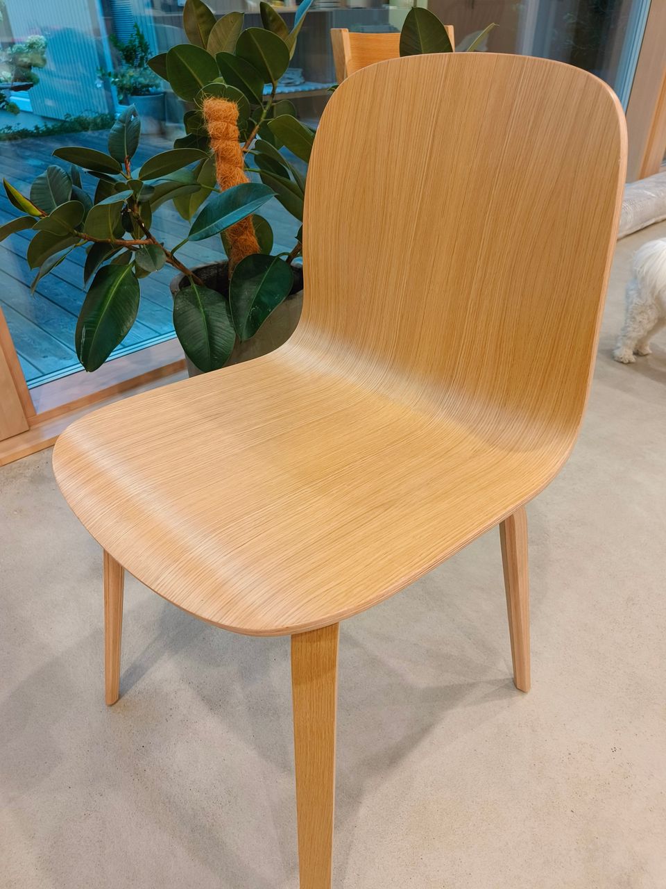 Muuto Visu tuolit 6 kpl