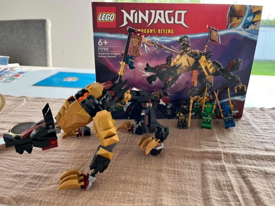 Ninjago 71790