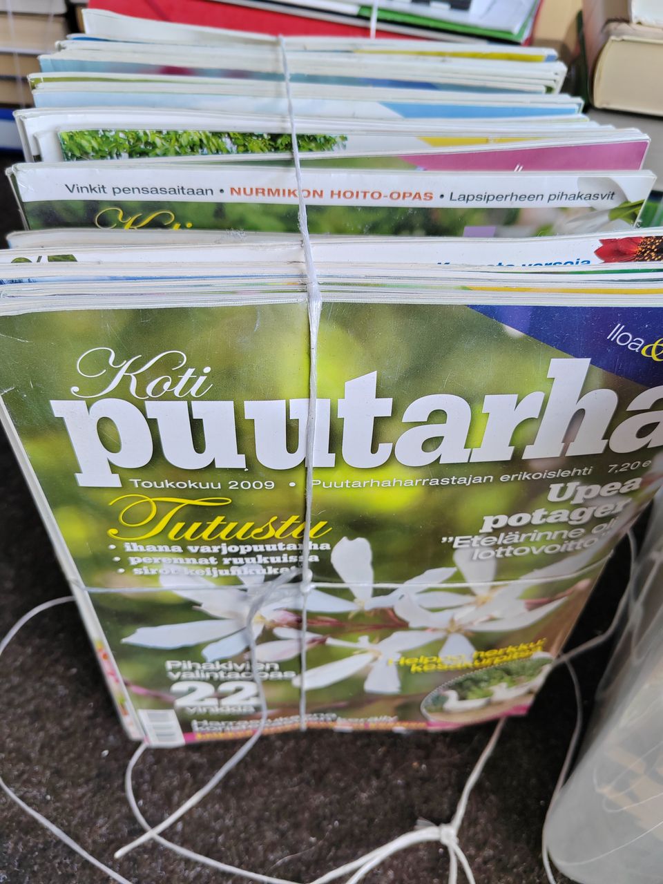 >65 puutarhalehteä