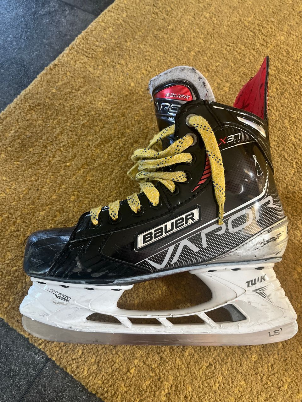 Bauer Vapor x3.7 koko 5,5 D