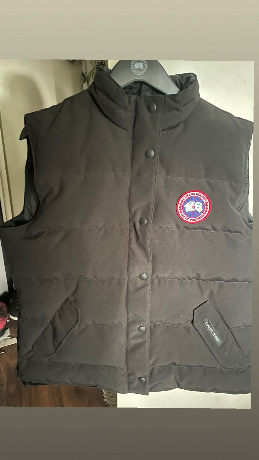 Canada goose liivi