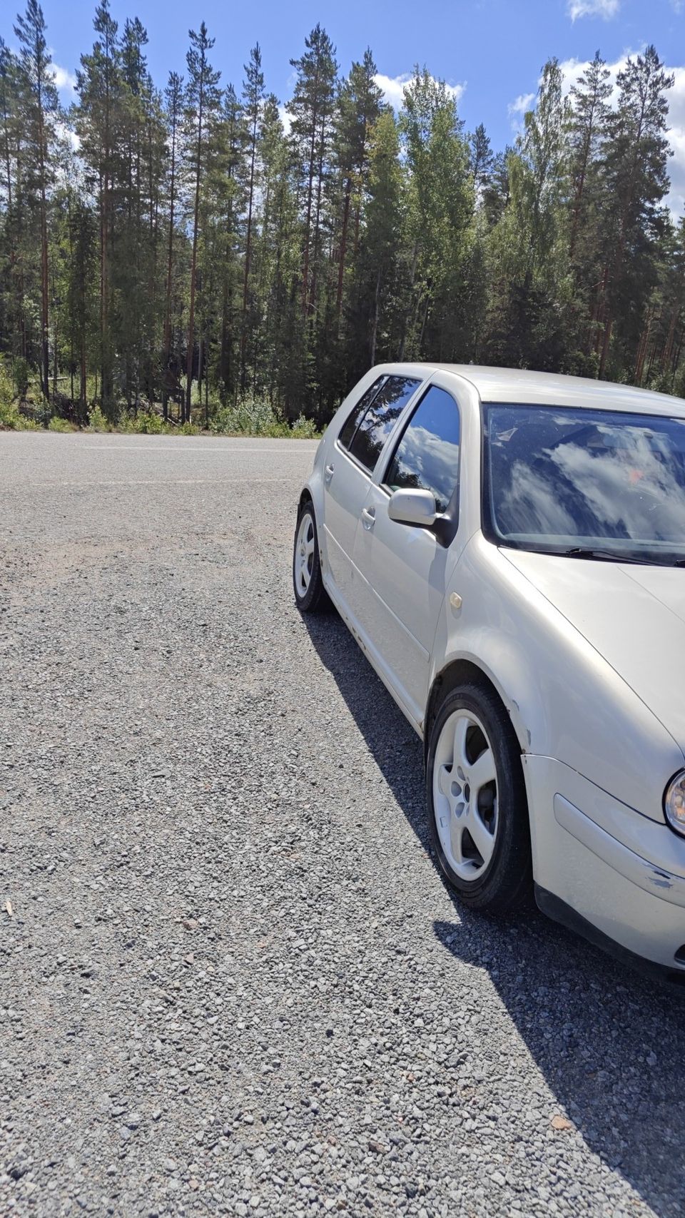 Golf mk4 osina