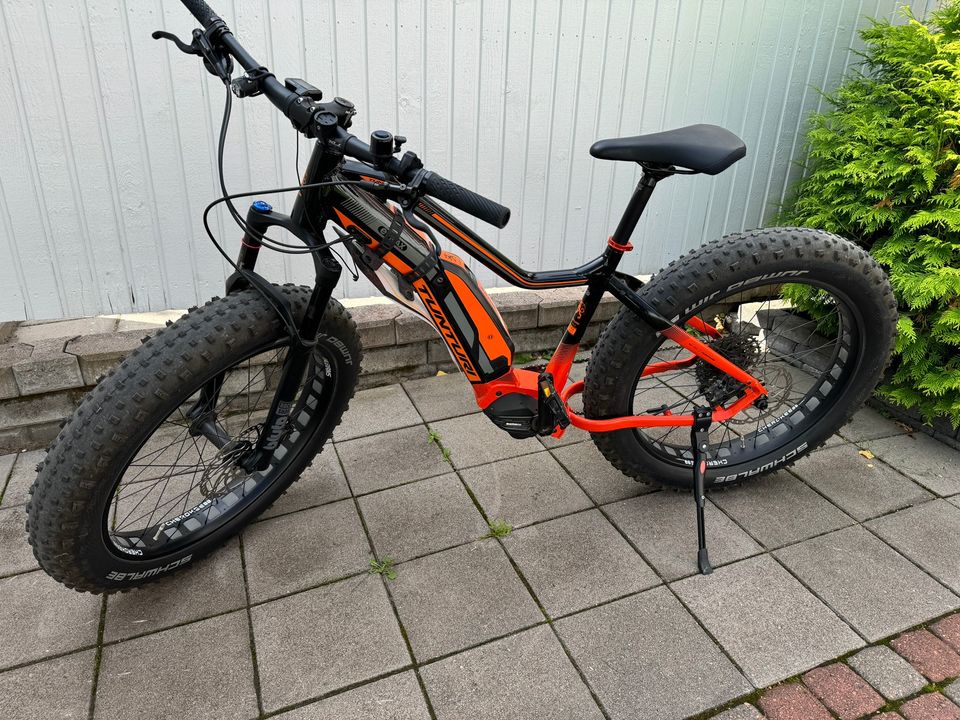 Tunturi E-MAX Fatbike