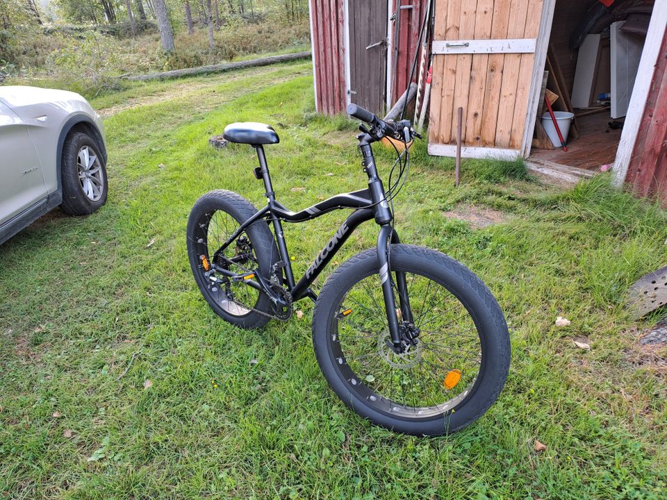 Falcone Fatbike