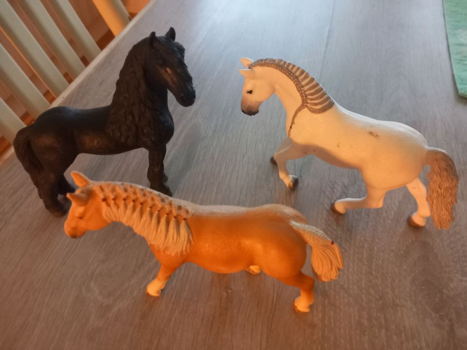 Schleich hepat