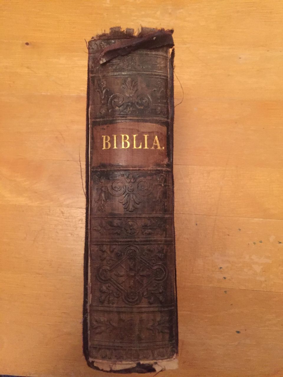 Biblia  vuodelta 1909