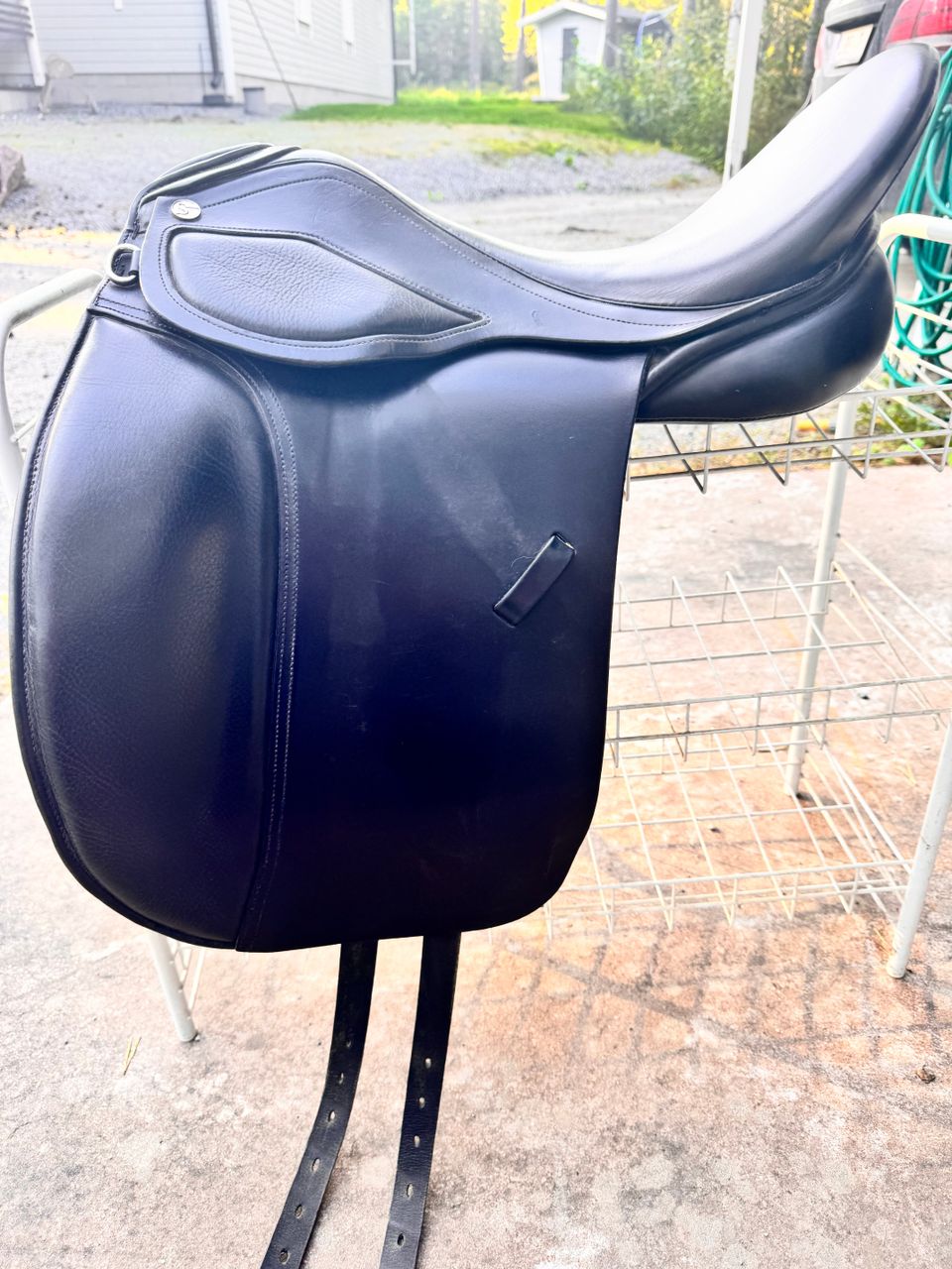 Sydney Dressage 17”