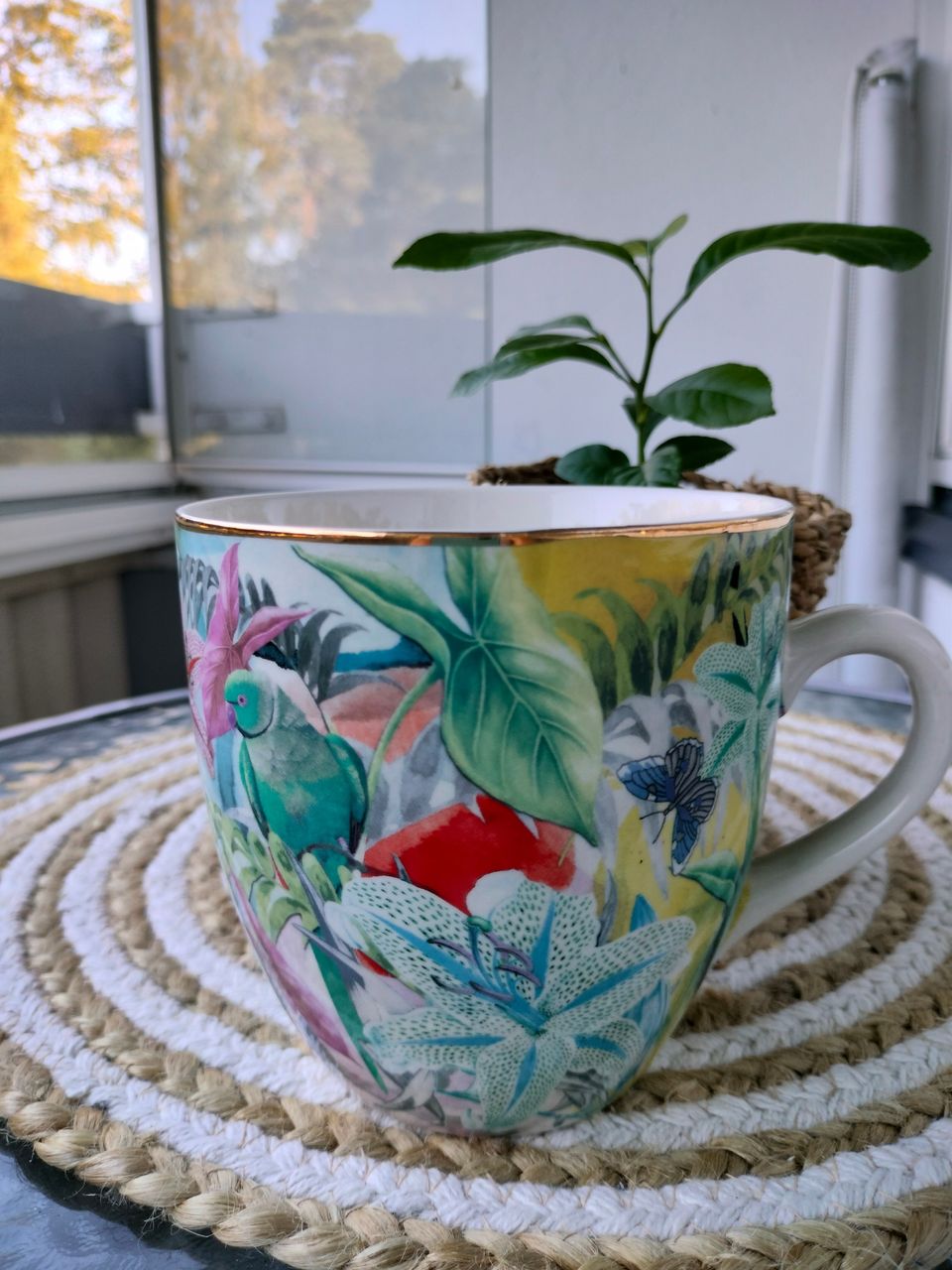 Indiskan muki XL Parrot mug