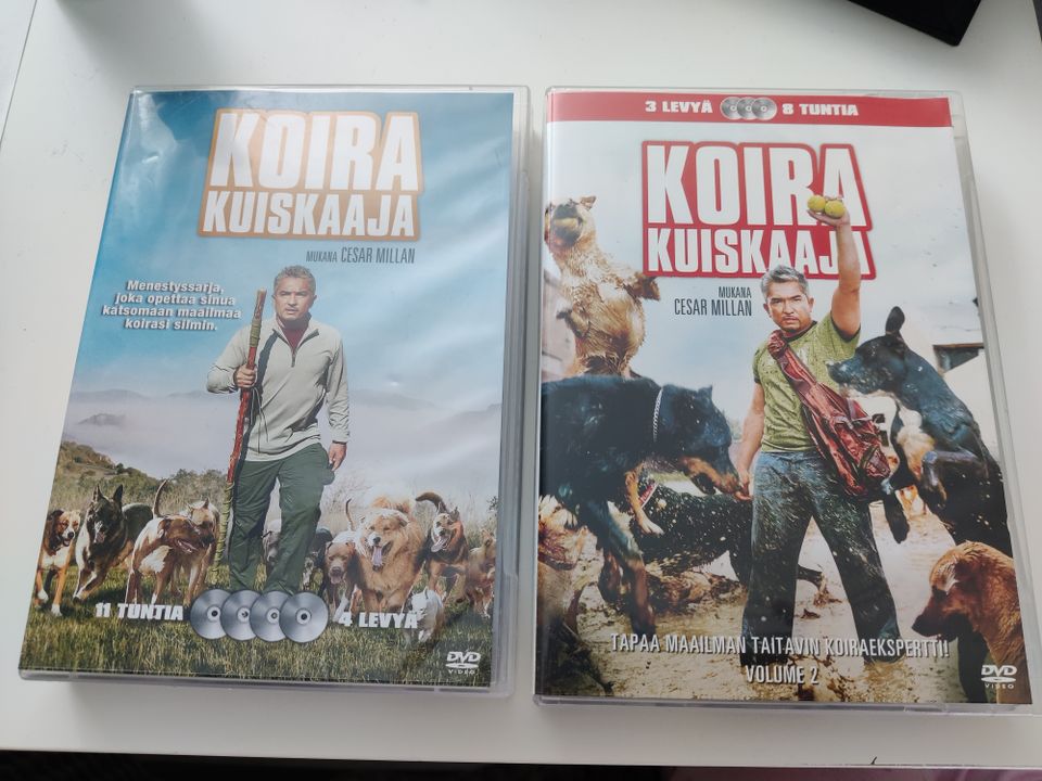 Koira kuiskaaja