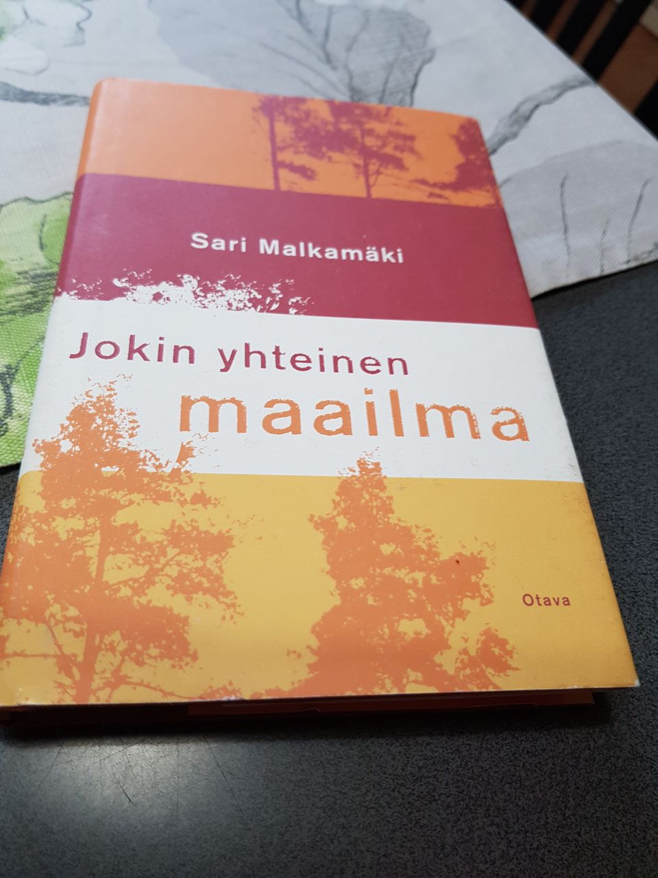 Jokin yhteinen maailma. Sari Malkamäki.