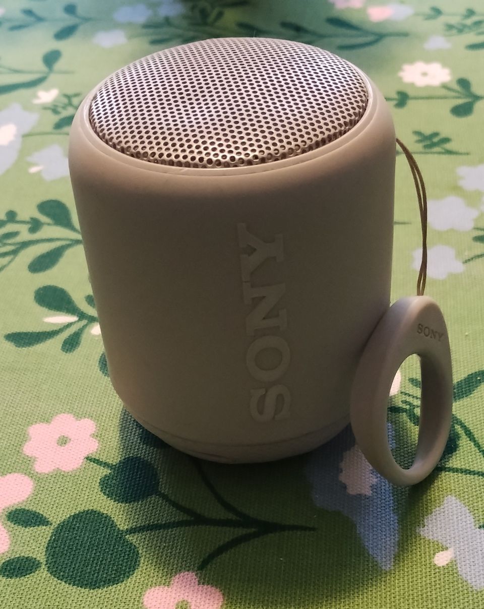 Sony SRS-XB10