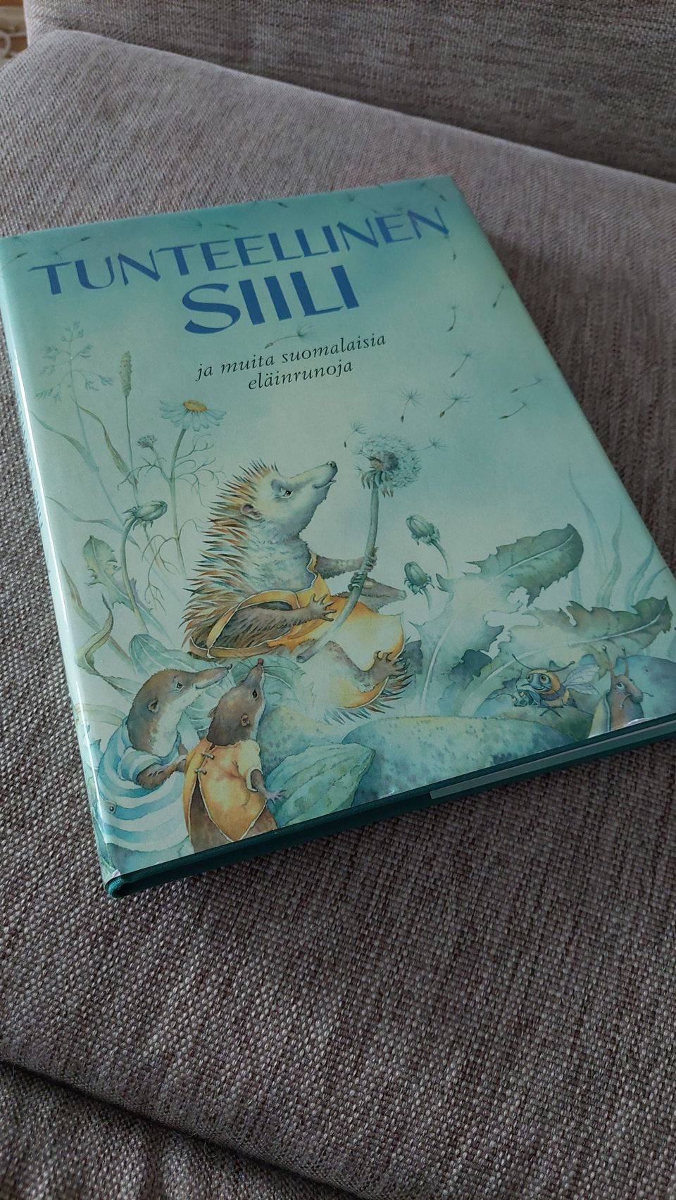 Tunteellinen siili