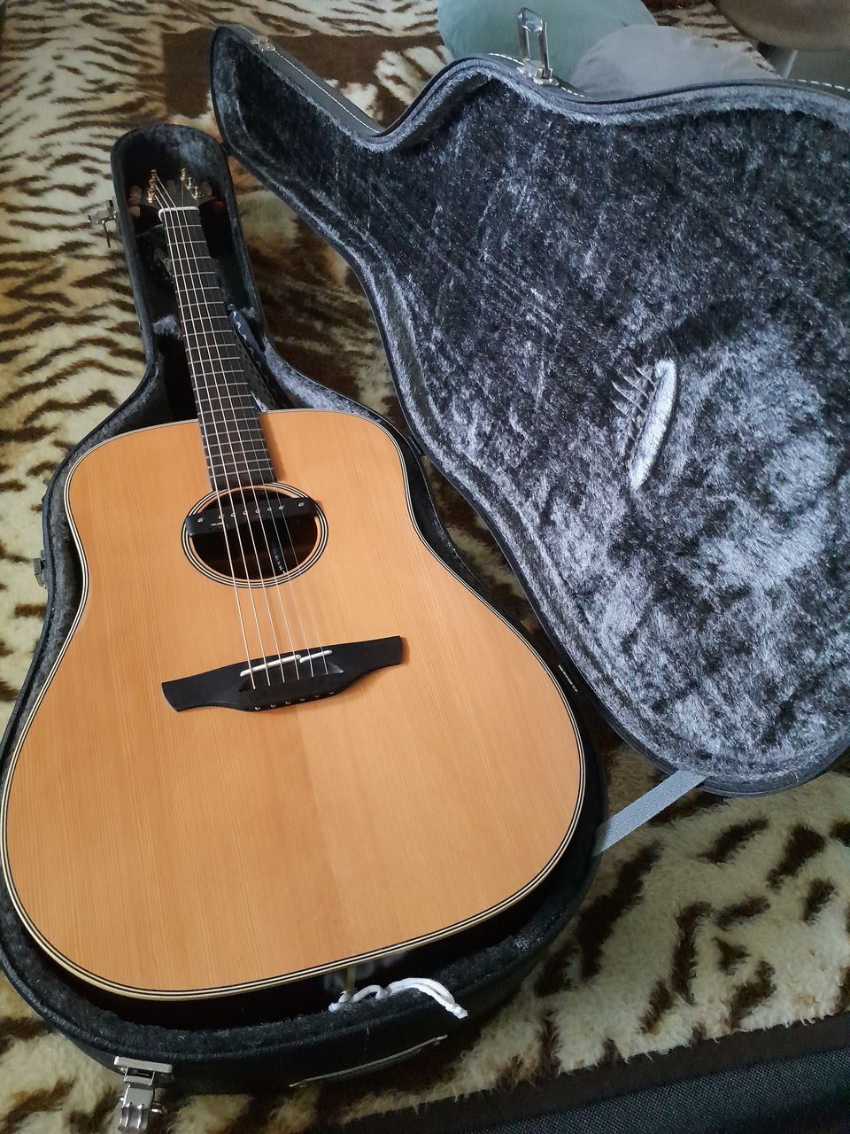 Takamine N-10