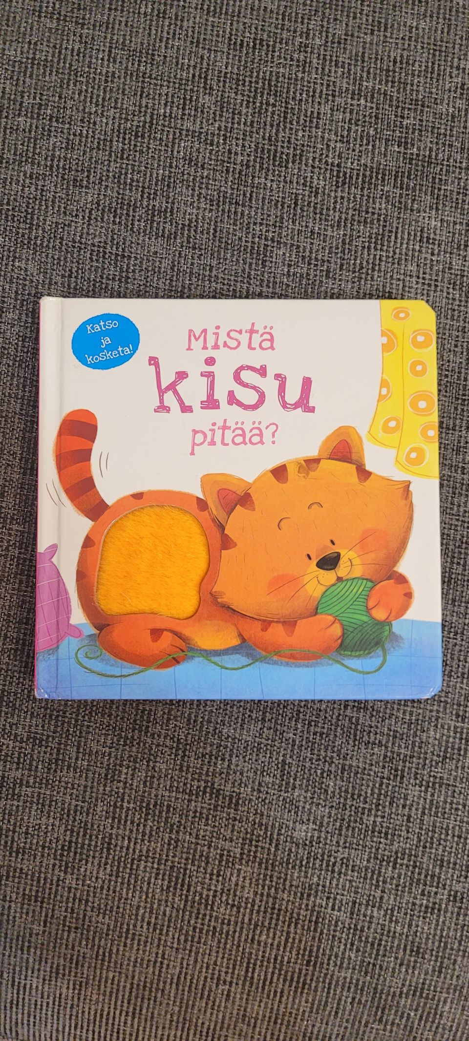 Lasten kirja "Mistä kisu pitää?"