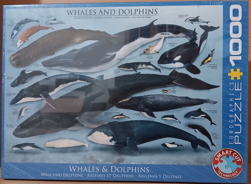 Eurographics, Dolphins and whales, 1000 palan palapeli