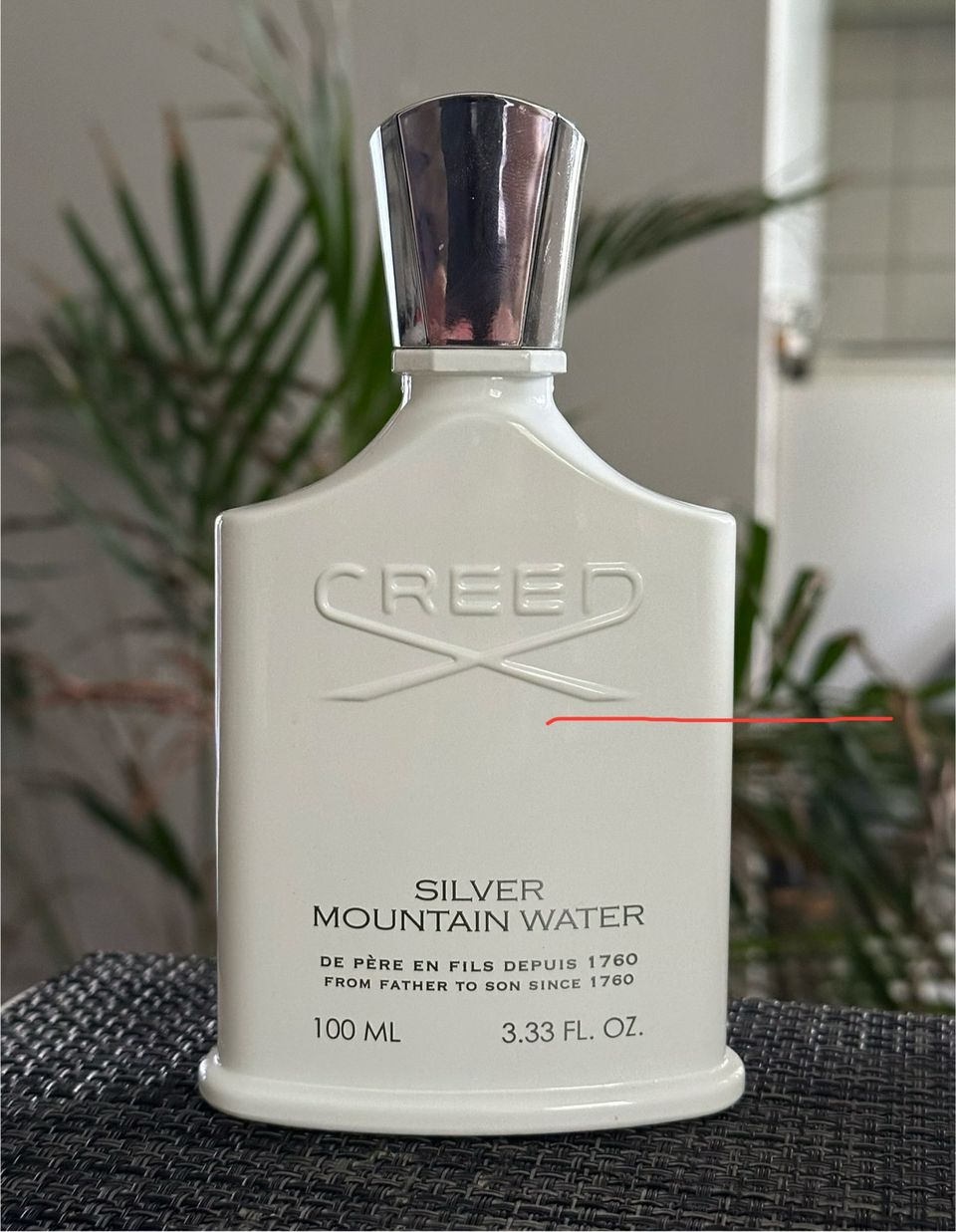 Creed Silver Mountain Water 100ml