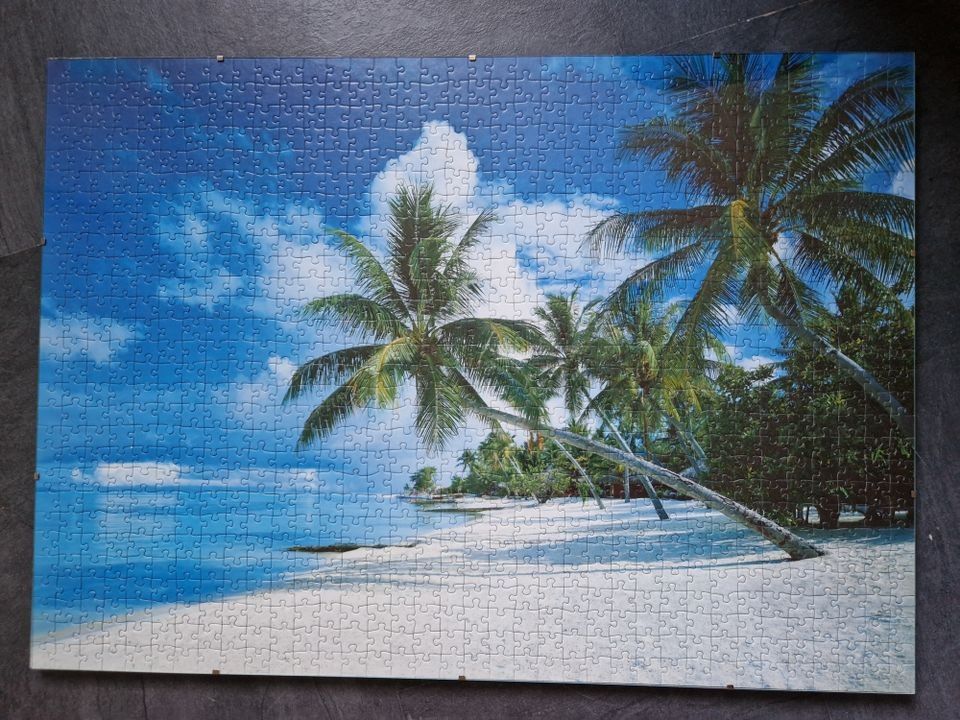 1000 palan palapeli Ravensburger