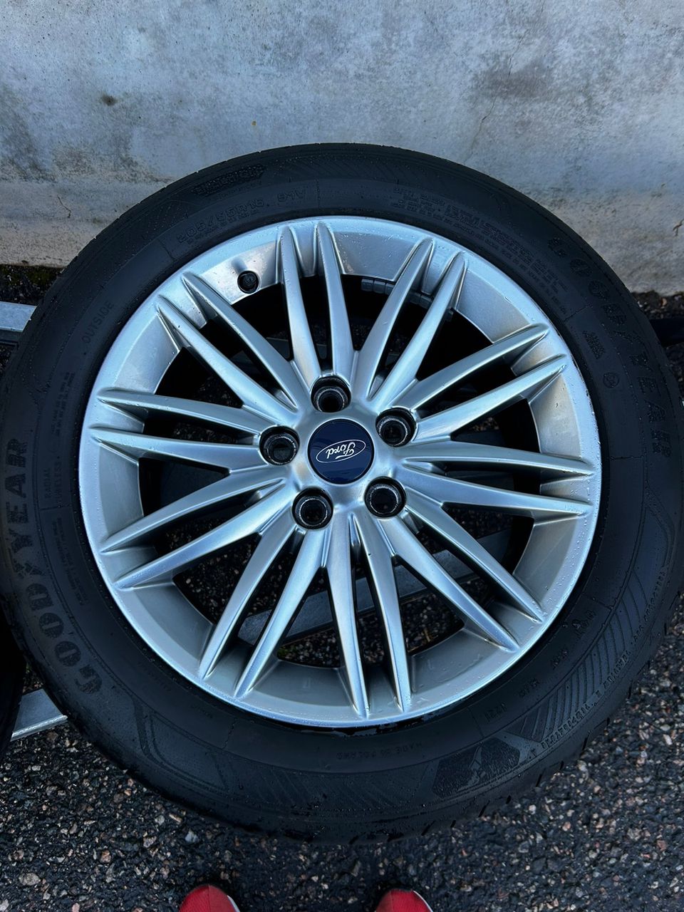 Ford Focus 16" vanteet kesärenkailla