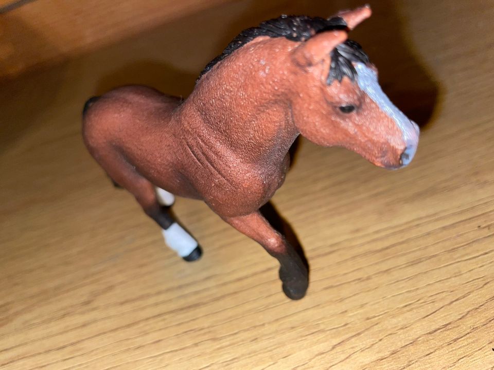 Schleich hevonen