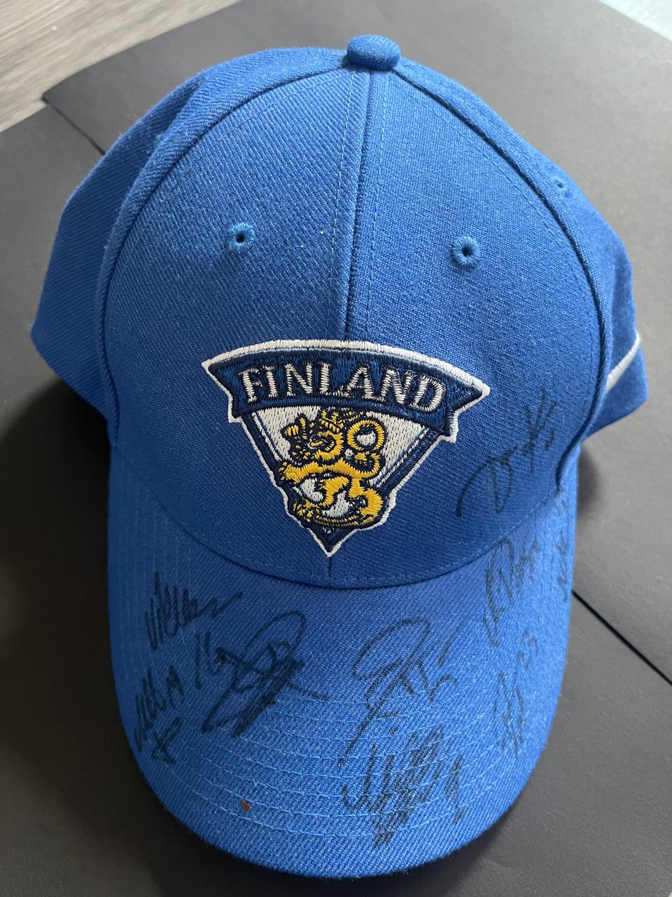 Suomen Leijonien lippis nimmareilla