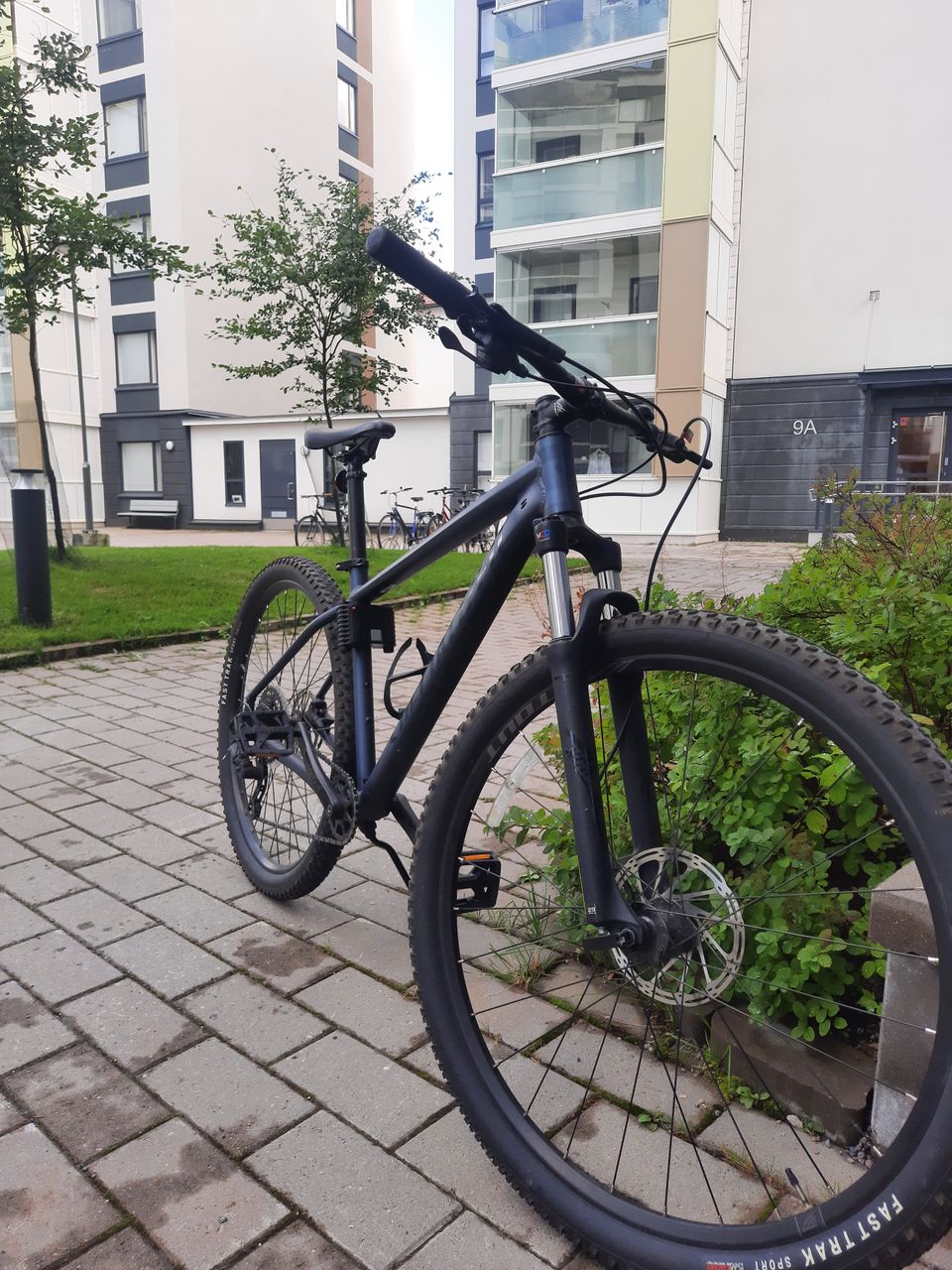 Specialized Rockhopper Comp 29