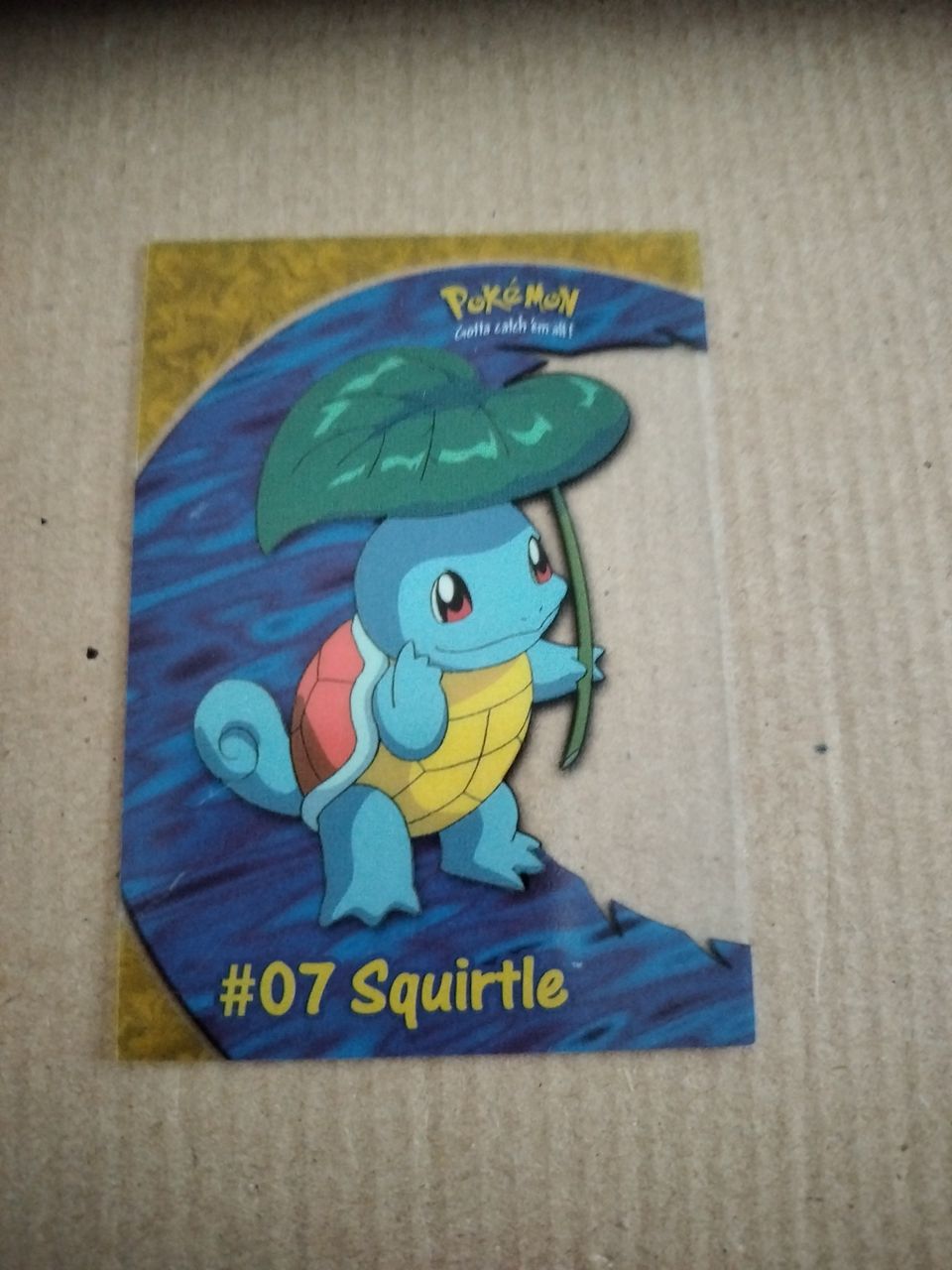 Pokemon Squirtle PC4