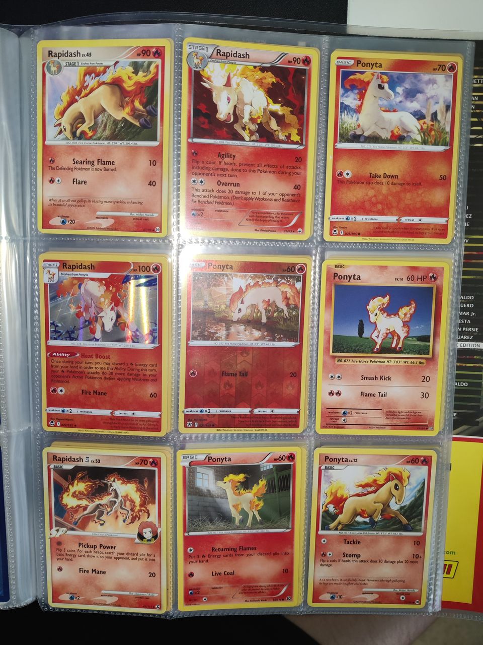 9 kpl rapidash/ponyta pokemon kortteja