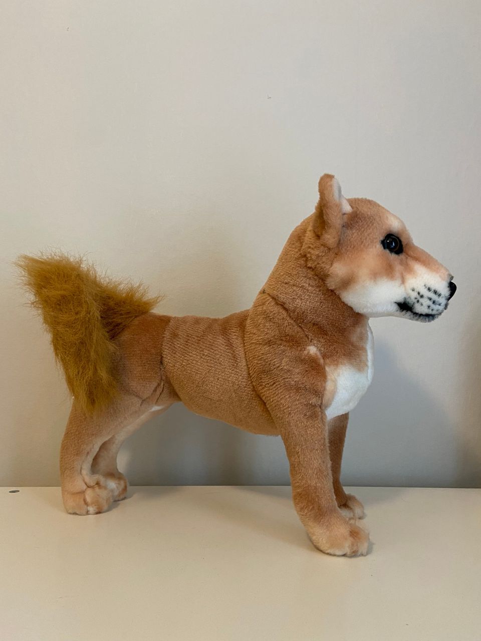 Pehmokoira shiba