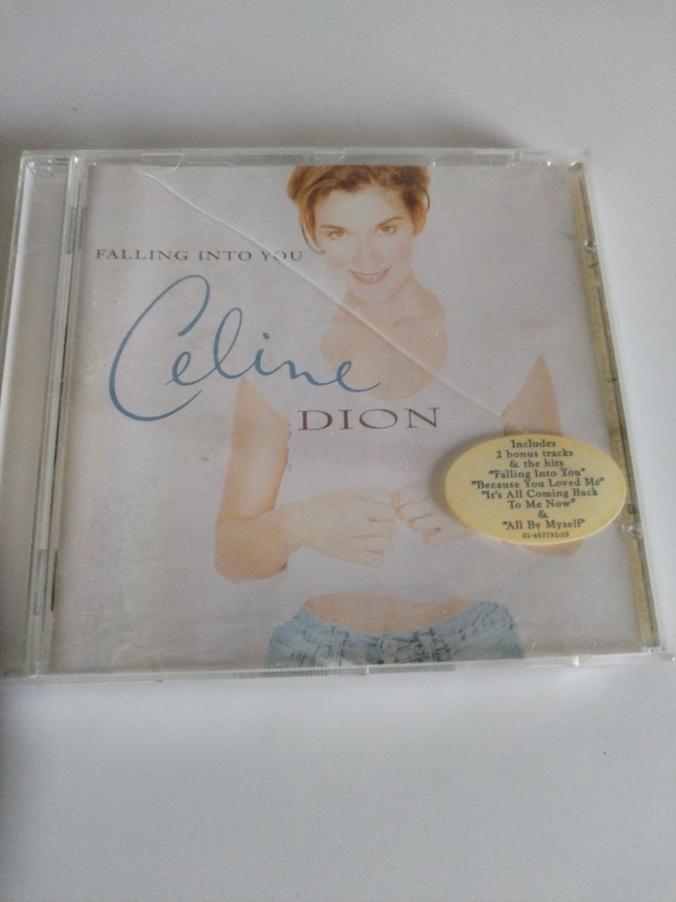 Celine Dion falling into you