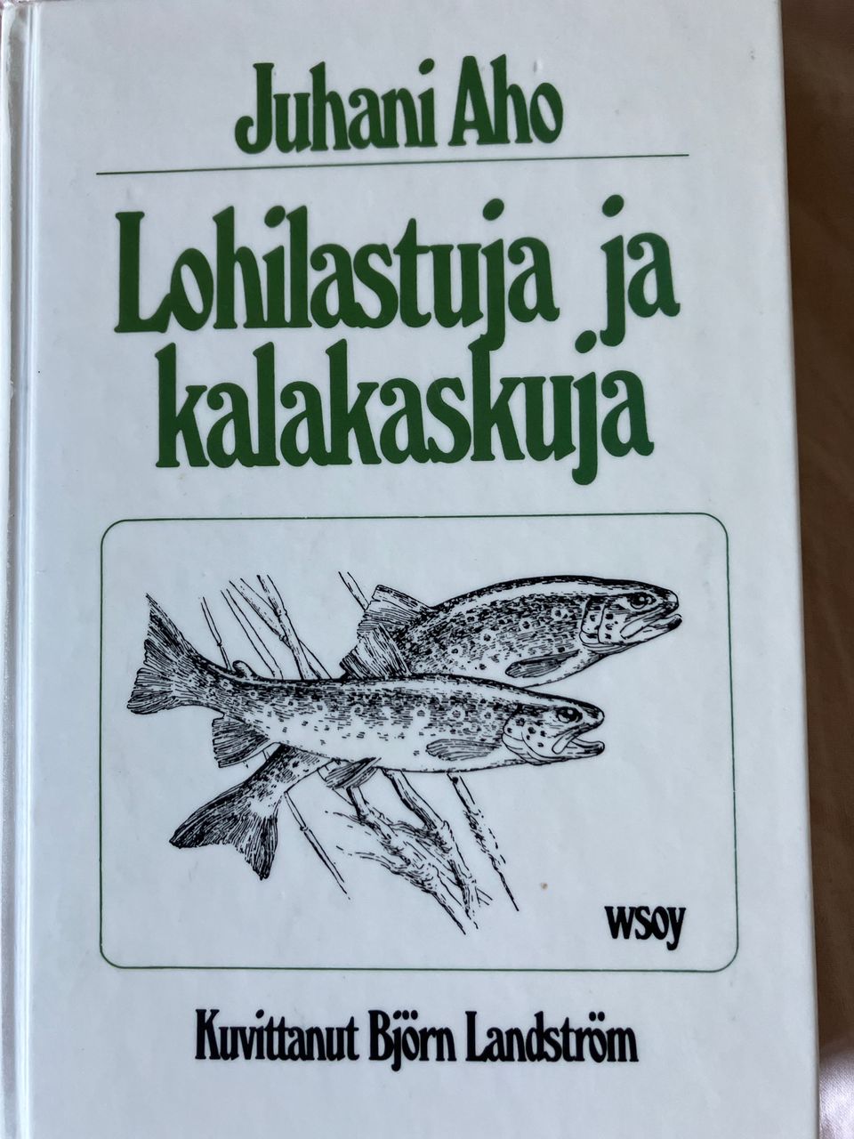 Juhani Aho: Lohilastuja ja kalakaskuja