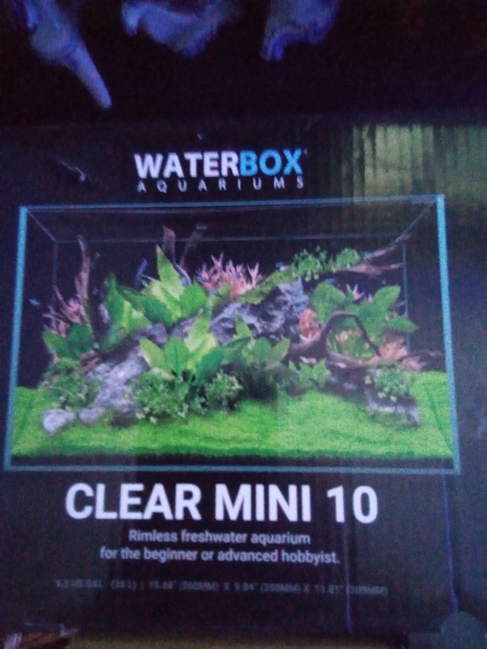 Akvaario Waterbox clear mini 10