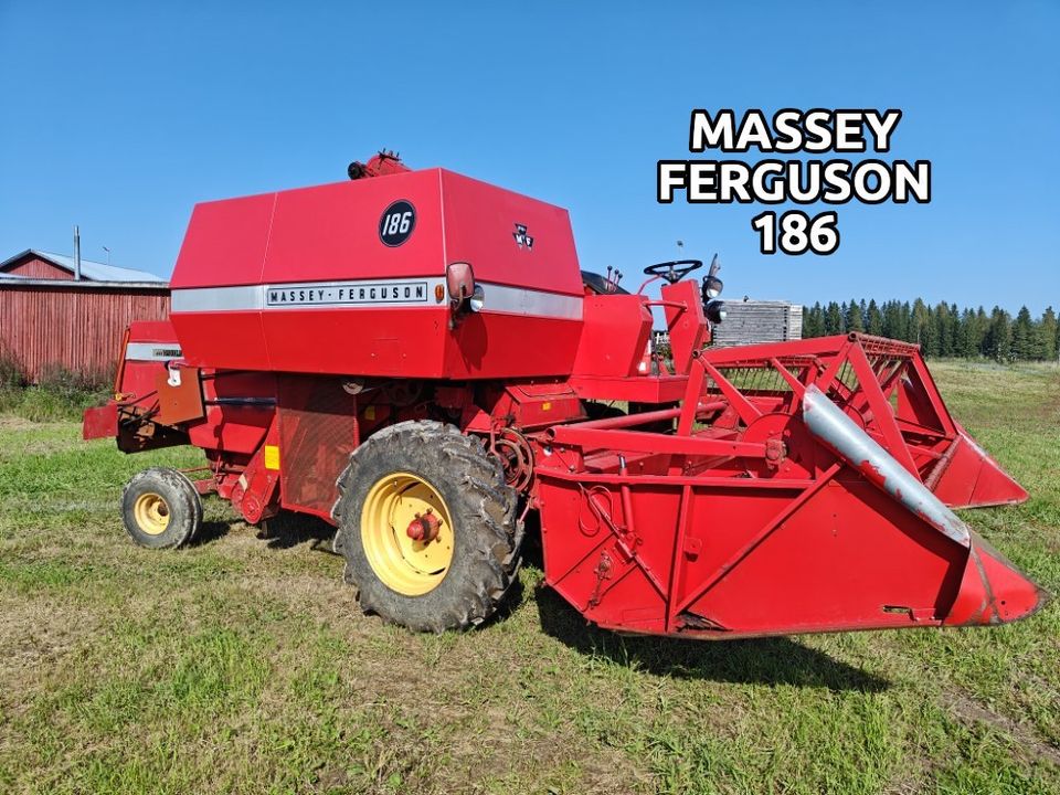 Massey Ferguson 186 leikkuupuimuri - VIDEO