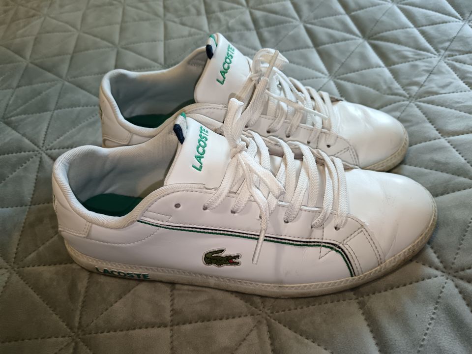 Lacoste miesten kengät 42