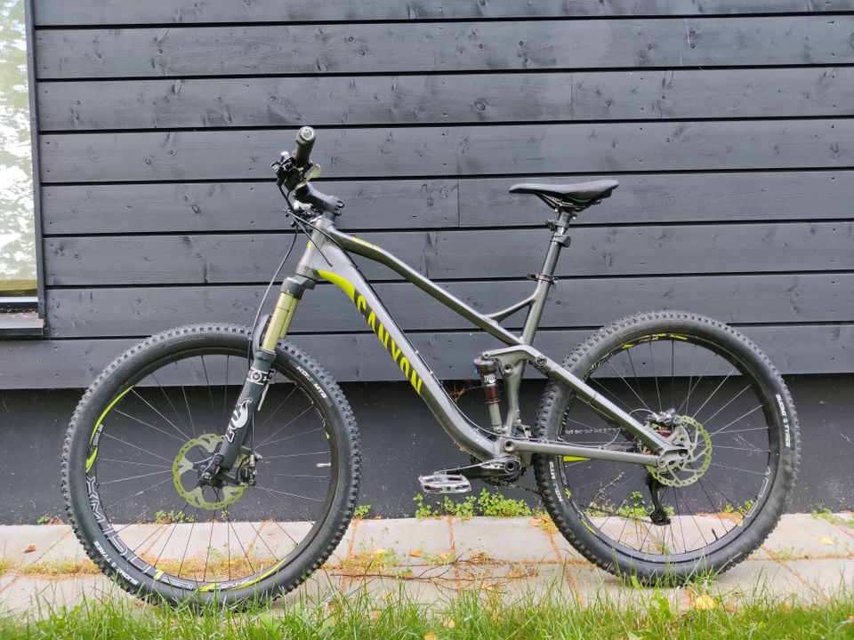 Canyon Nerve al 9.9 L-koko