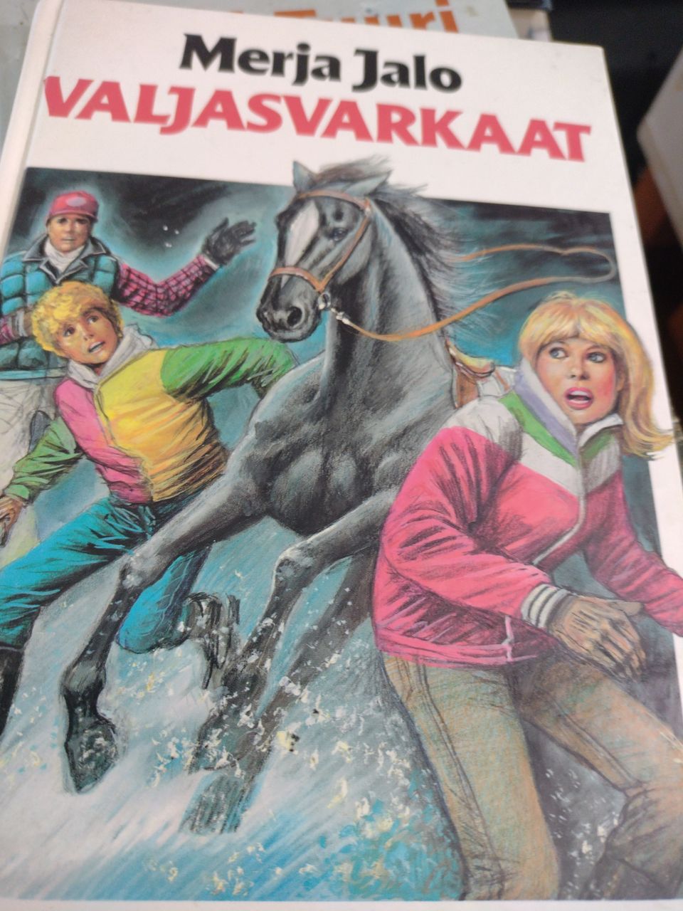 Merja Jalo: Valjasvarkaat