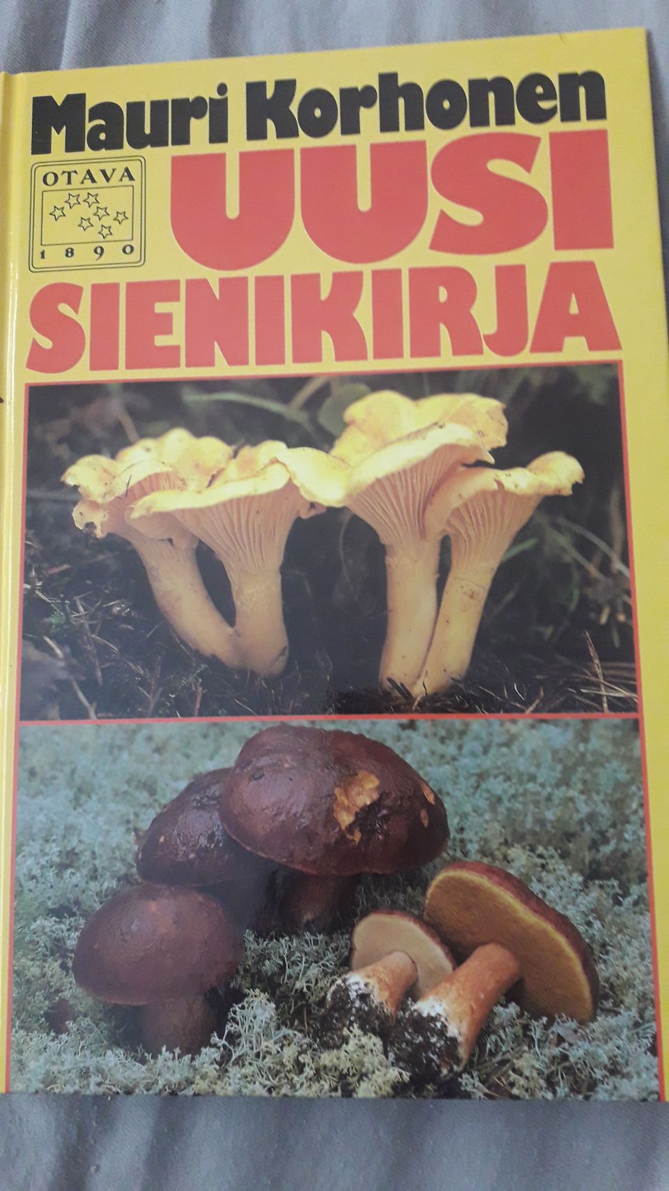 Sienikirja