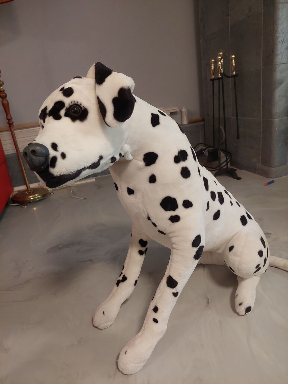 Pehmo dalmatialaiskoira