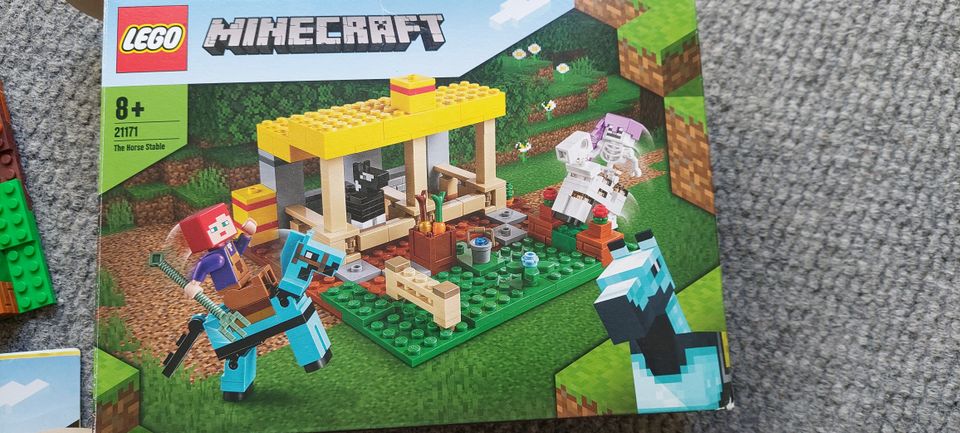 Lego minecraft 21171