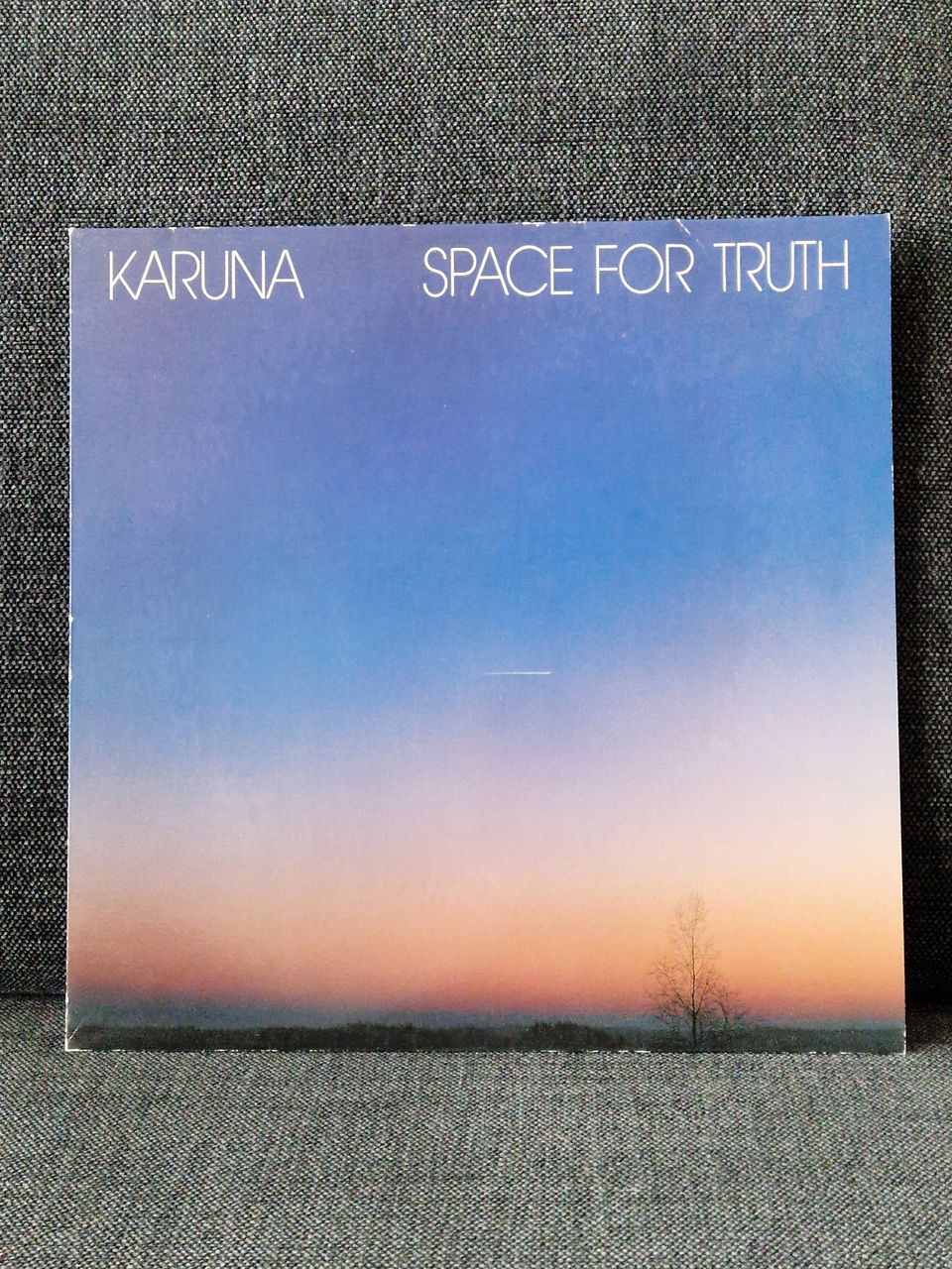 Karuna space for truth lp