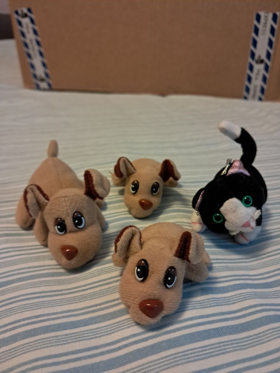 Pound puppies koirat ja kissa